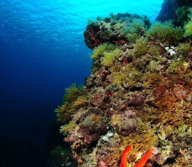 Lumìa Bed And Breakfast