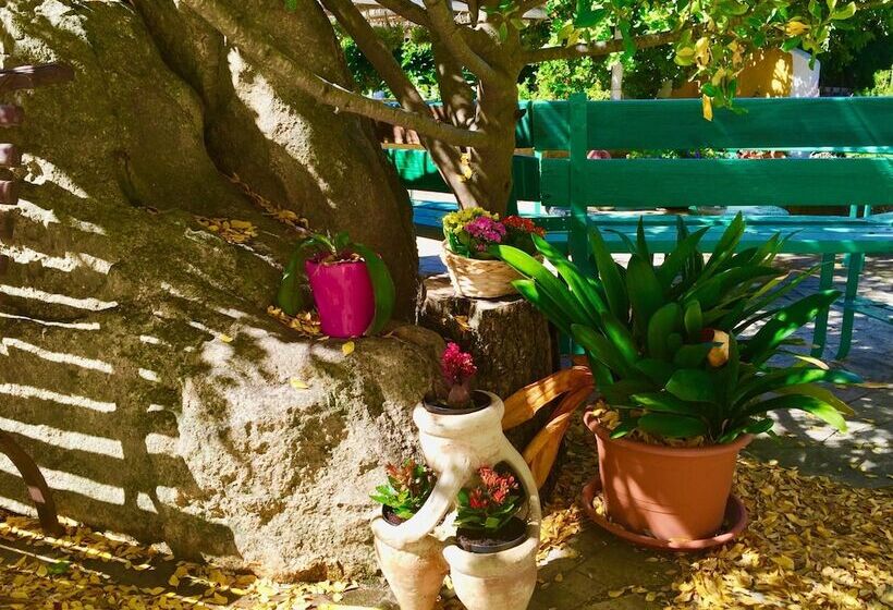 Пансион Ca  La Somara