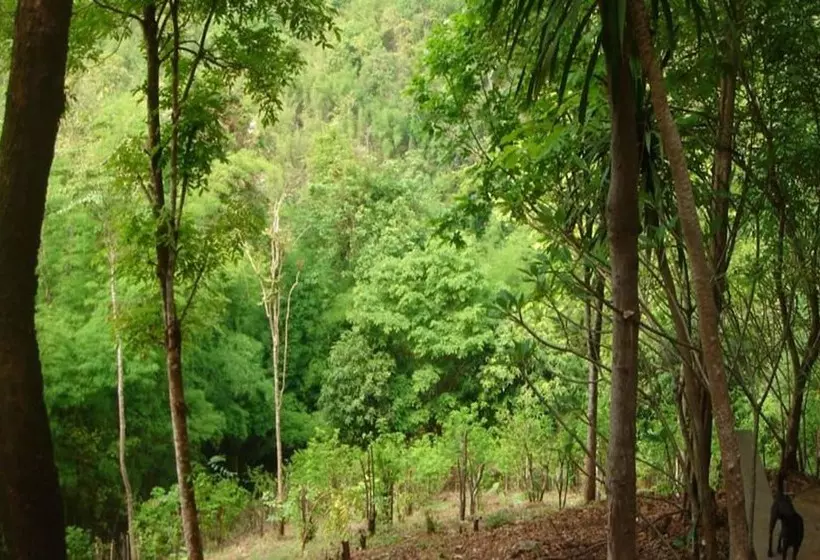 Majatalo Sam's Jungle Guesthouse