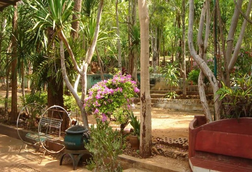 פנסיון Sam's Jungle Guesthouse