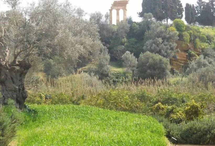 B&b San Leone