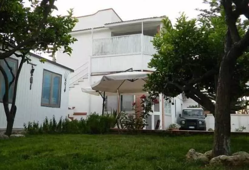 B&b San Leone