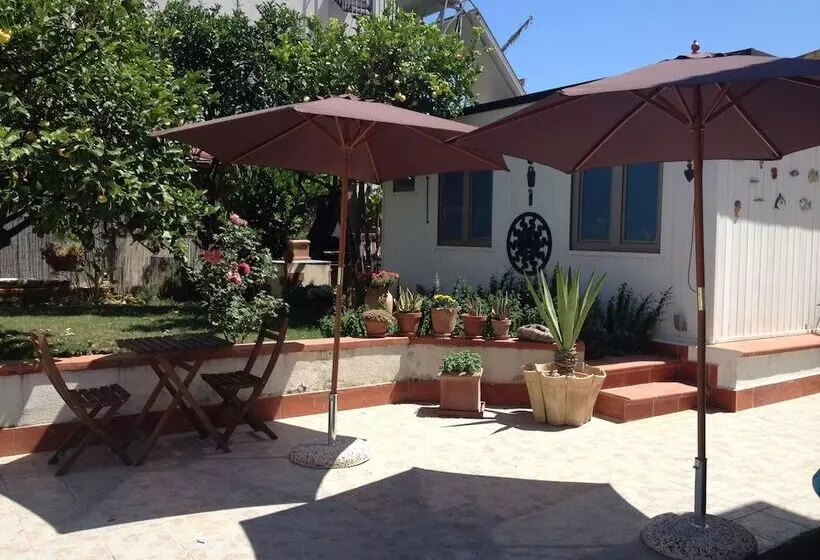 B&b San Leone
