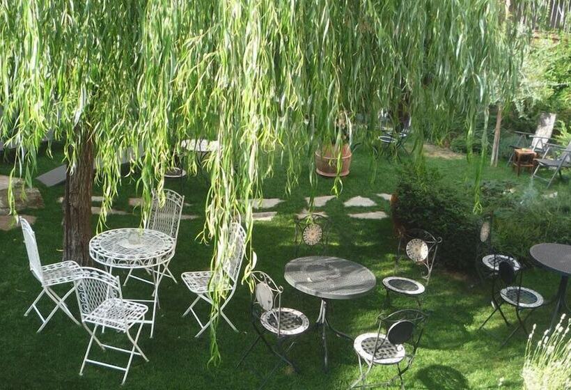 مبيت وإفطار Lori's Inn