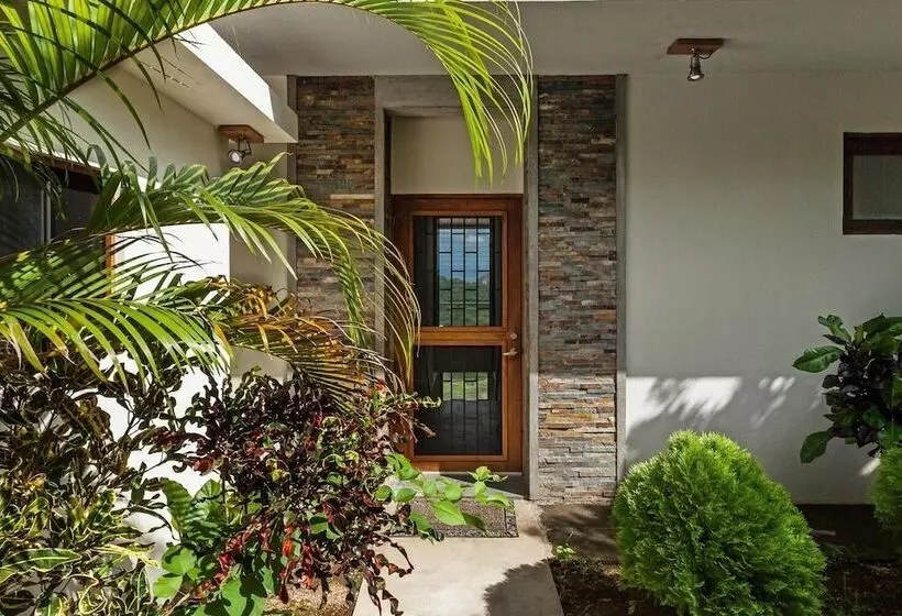 Casa Cha Cha Cha B&b