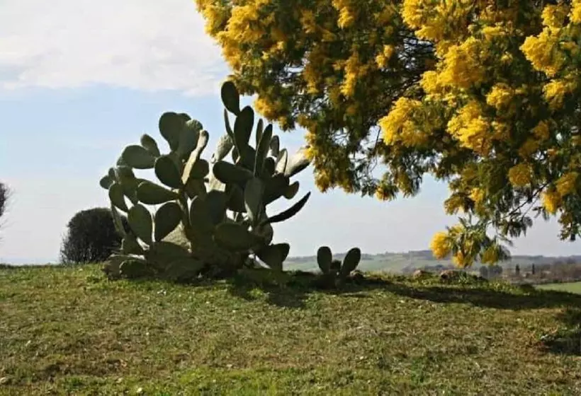Maaseutuhotelli Agriturismo Verdicchio