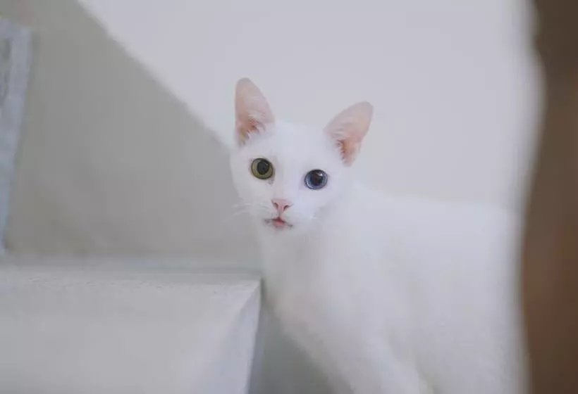 Majatalo Red Letter Day