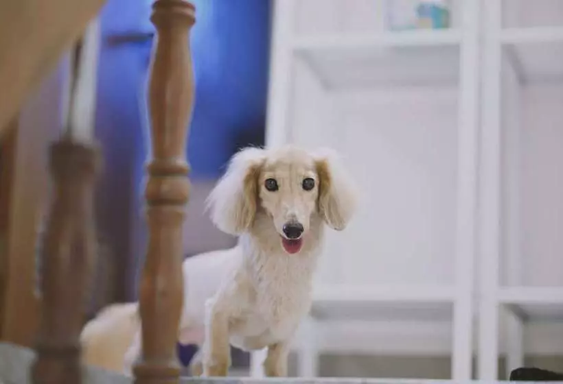 Majatalo Red Letter Day