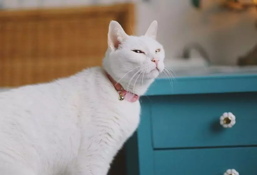 Majatalo Red Letter Day