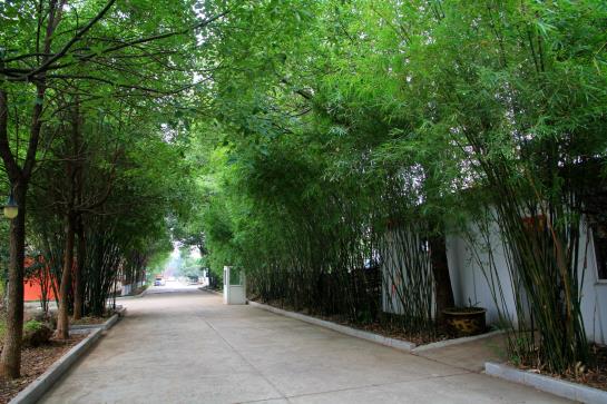 Anqing Business Hotel 