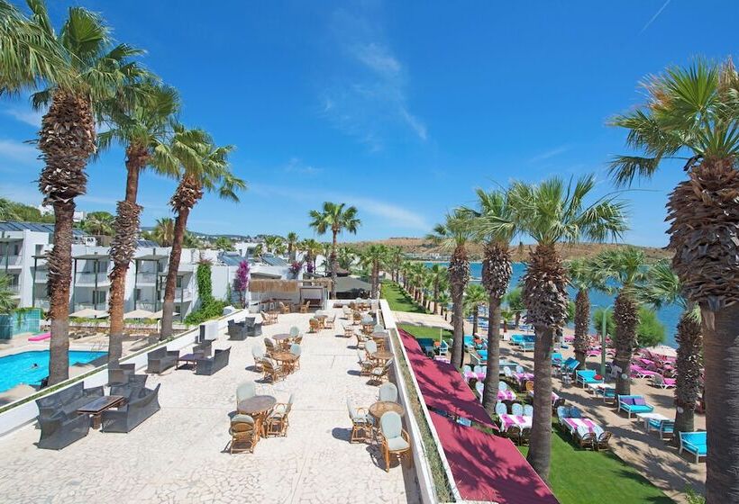 Sami Beach Hotel All Inclusive
