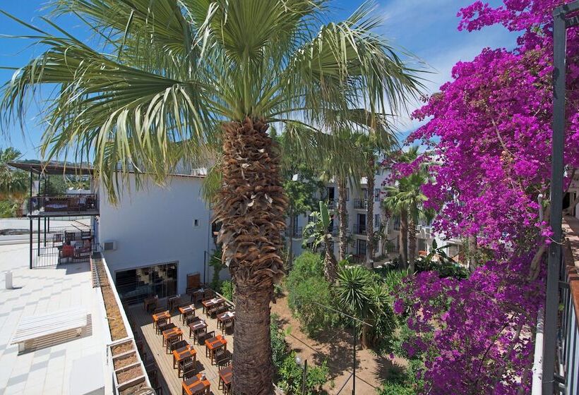 Sami Beach Hotel All Inclusive