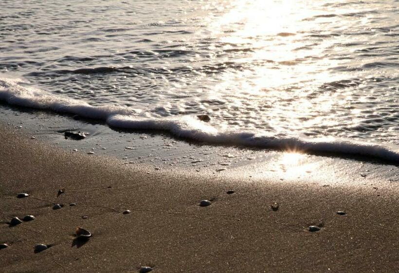 Hampton Home B&b Suites