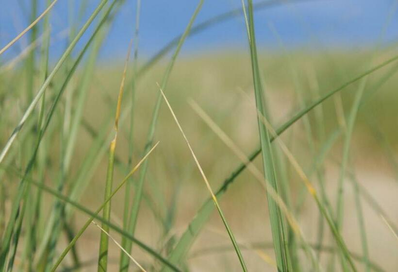 Hampton Home B&b Suites