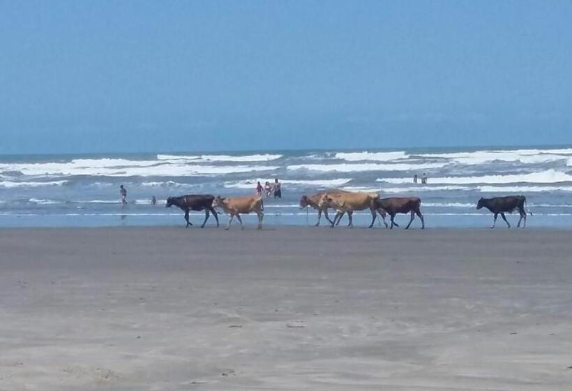 호스텔 Chalés Recanto Da Aldeia