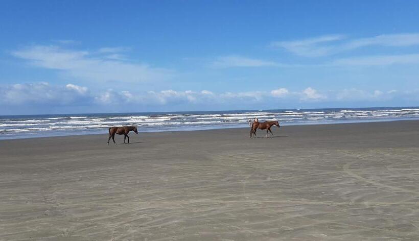 호스텔 Chalés Recanto Da Aldeia