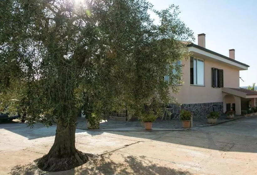 Bed And Breakfast Eden Green