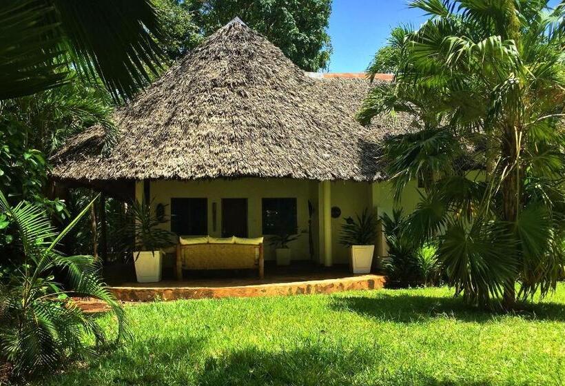 Bed and Breakfast Galu Ecolodge