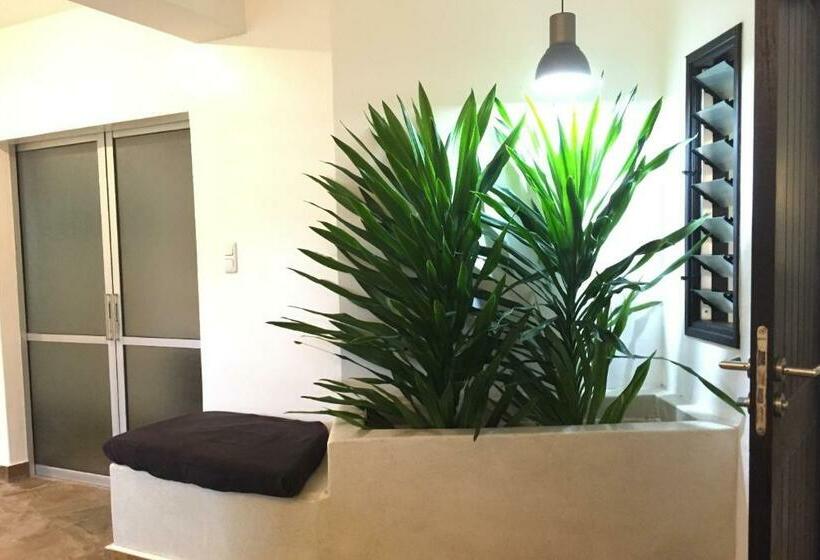 Bed and Breakfast Galu Ecolodge