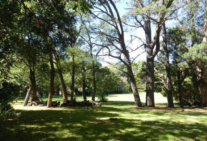 هاستل Casa De Campo Las Acacias