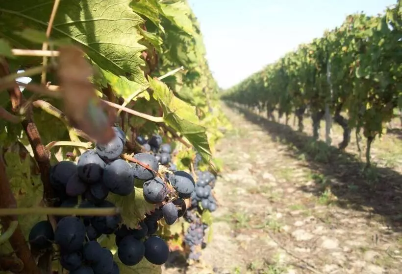 تختخواب و صبحانه Loire, Châteaux, Et Vignes