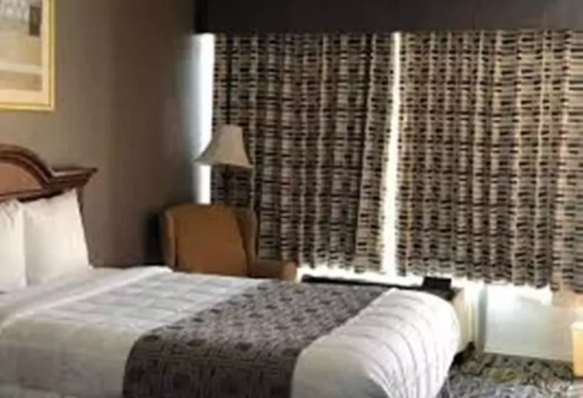 酒店 Baymont By Wyndham Walterboro