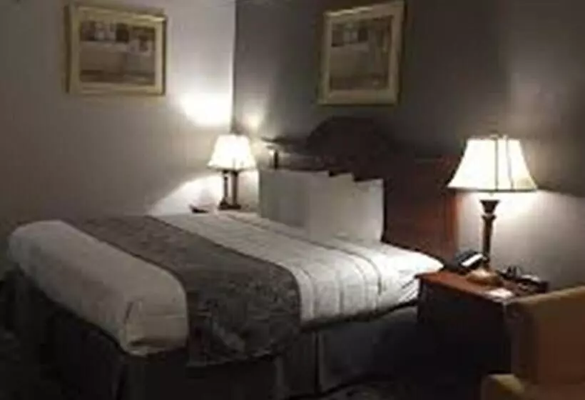 酒店 Baymont By Wyndham Walterboro