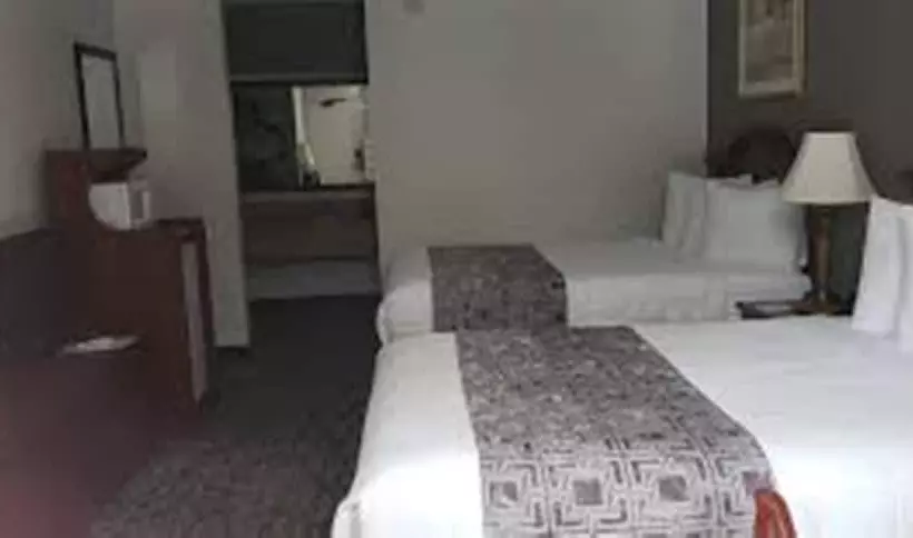 酒店 Baymont By Wyndham Walterboro