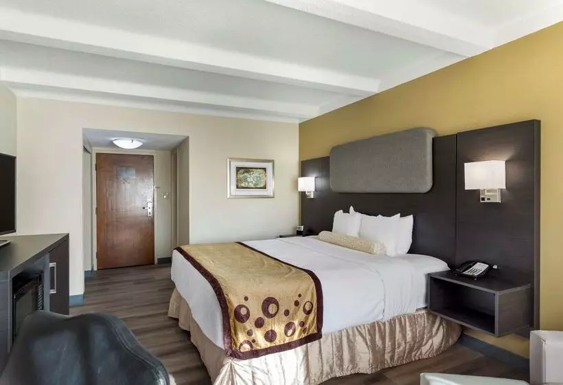 Otel Best Western Plus Madisonhuntsville