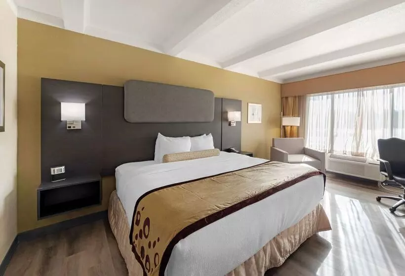 Otel Best Western Plus Madisonhuntsville