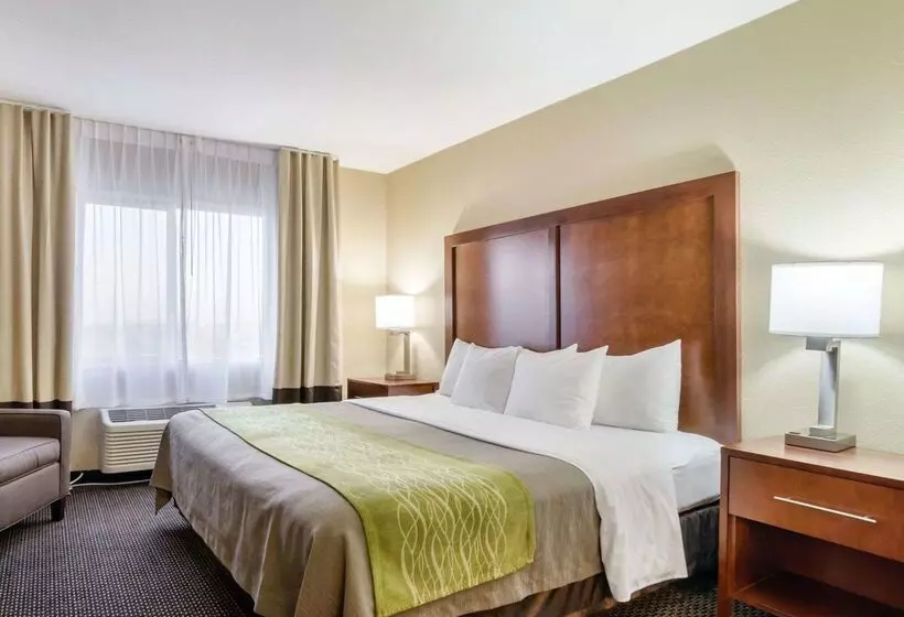 هتل Comfort Inn Garden City