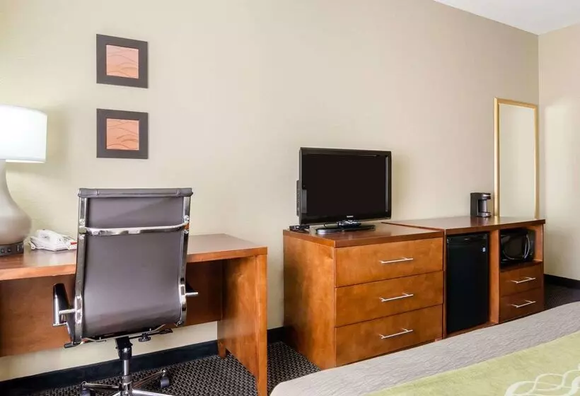 هتل Comfort Inn Garden City