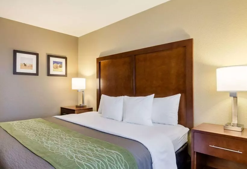 هتل Comfort Inn Garden City