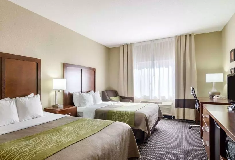 هتل Comfort Inn Garden City