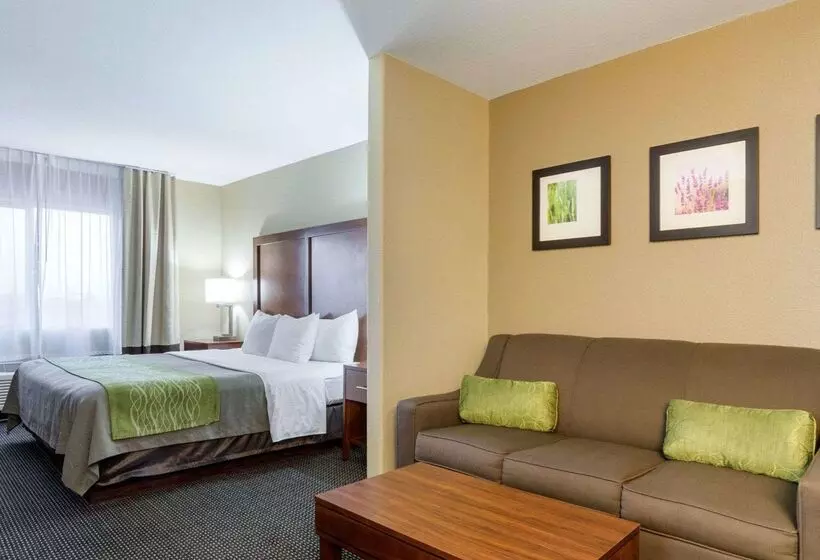 هتل Comfort Inn Garden City
