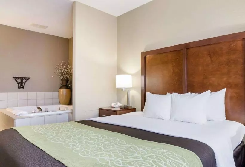 هتل Comfort Inn Garden City