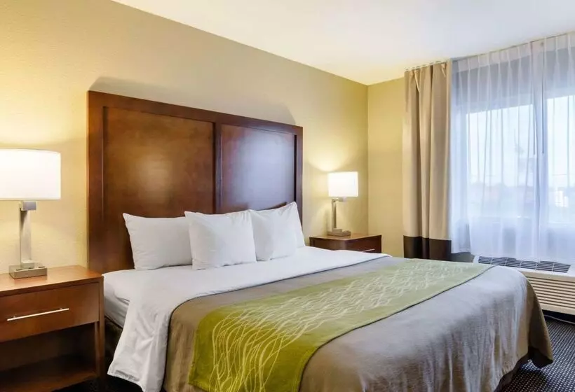 هتل Comfort Inn Garden City