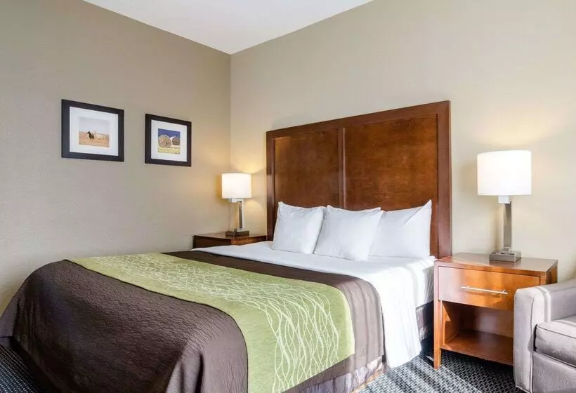 هتل Comfort Inn Garden City