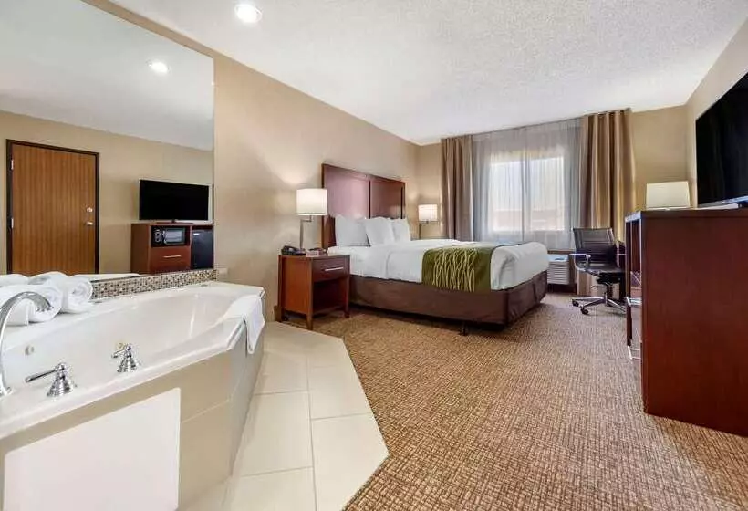 Otel Comfort Inn Grand Island North