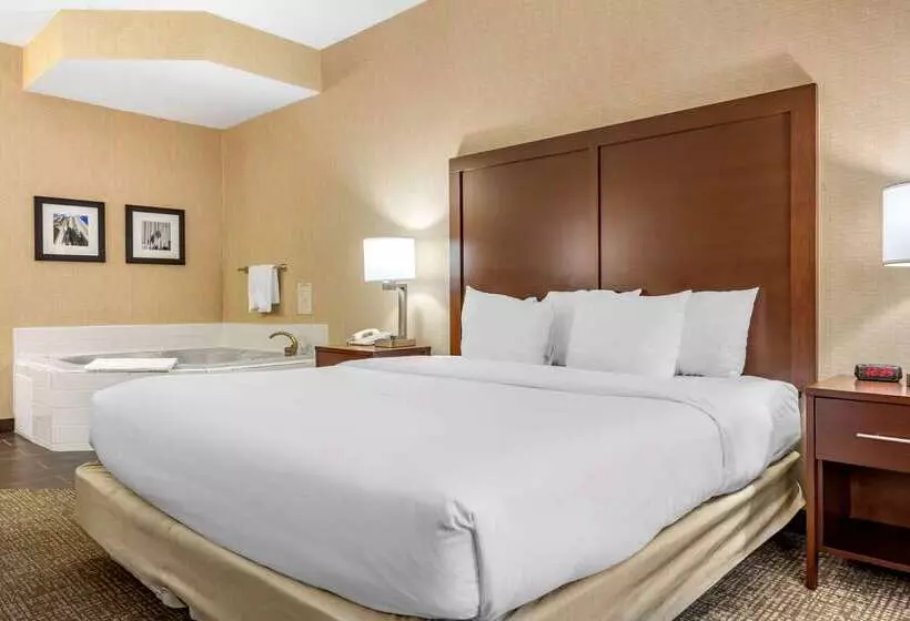 בית מלון כפרי Comfort Inn Meadowlands