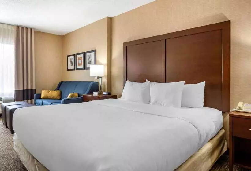 בית מלון כפרי Comfort Inn Meadowlands