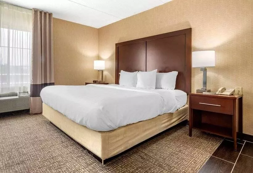 בית מלון כפרי Comfort Inn Meadowlands