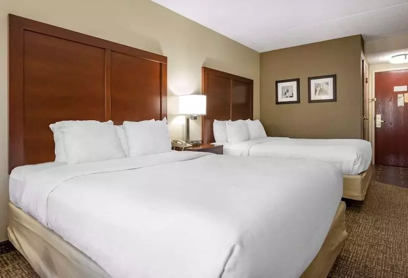 בית מלון כפרי Comfort Inn Meadowlands