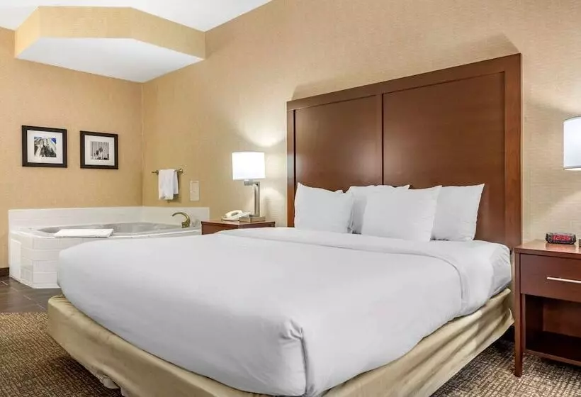 בית מלון כפרי Comfort Inn Meadowlands