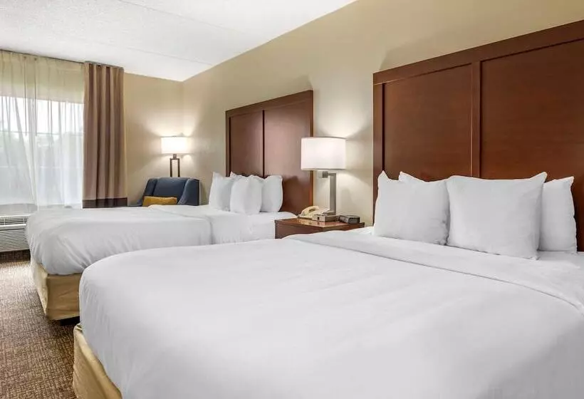 בית מלון כפרי Comfort Inn Meadowlands