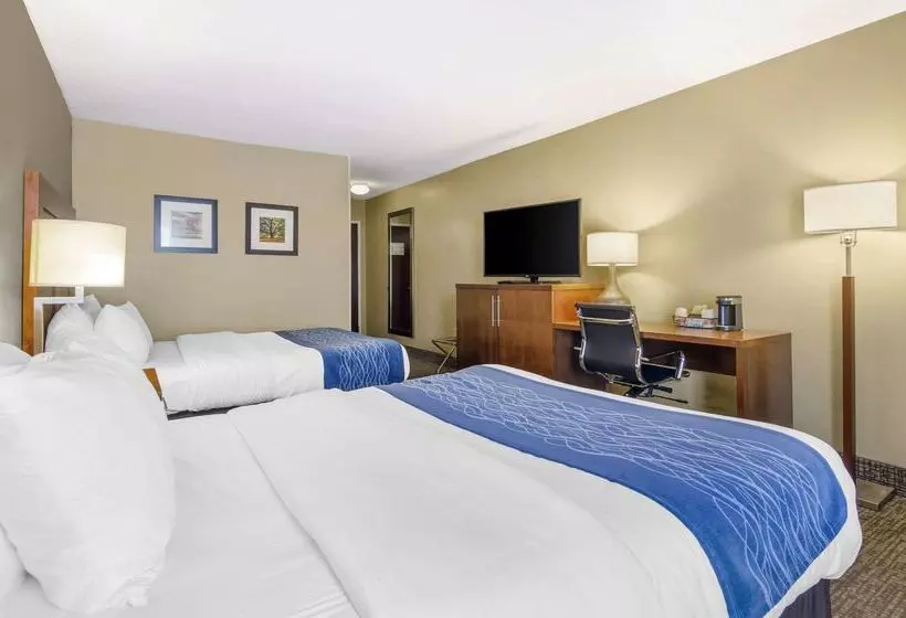 酒店 Comfort Inn & Suites Christiansburg I 81