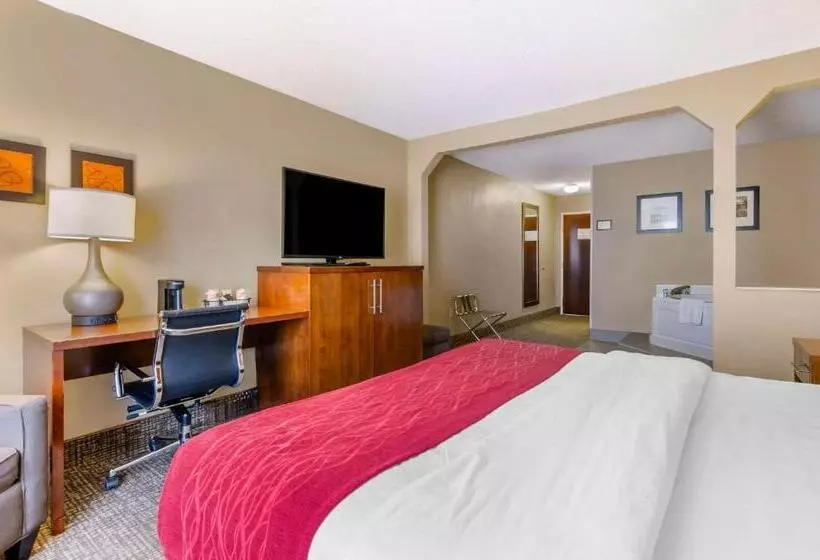 酒店 Comfort Inn & Suites Christiansburg I 81