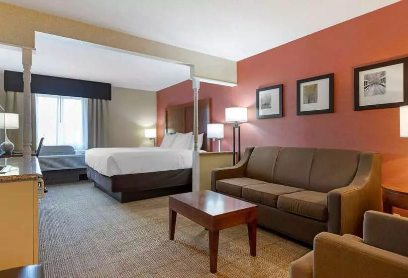 酒店 Comfort Inn & Suites