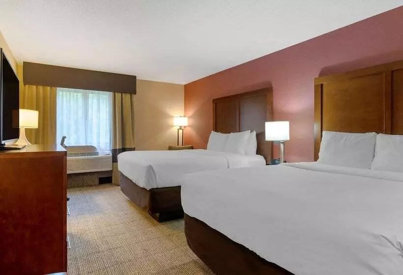 酒店 Comfort Inn & Suites