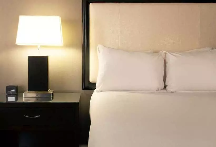 בית מלון כפרי Hilton Alexandria Old Town